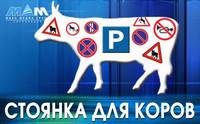 В Сочи появилась штраф-стоянка для животных