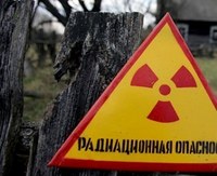Волк-мутант покусал работников ЧАЭС