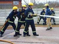 Британские пожарные помогли за два года более 10 тысячам попавшим в беду животным