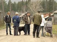 В свердловском поселке Сабик волки загрызли почти всех собак