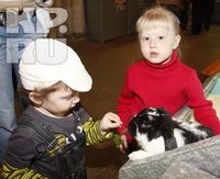 Вислоухий кролик Вовочка встречает малышей на задних лапках