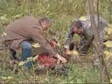 За убийство лося в запретной зоне браконьера приговорили к общественным работам